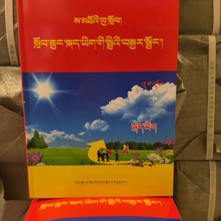 小升初高原学子：总复习资料