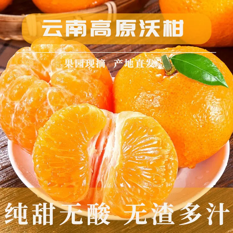 云南大理宾川正宗高原沃柑纯甜无酸无渣产地包邮直发