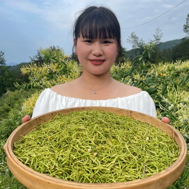 2025头茬炒青烘干金银花四川大巴山川银花泡水煮水