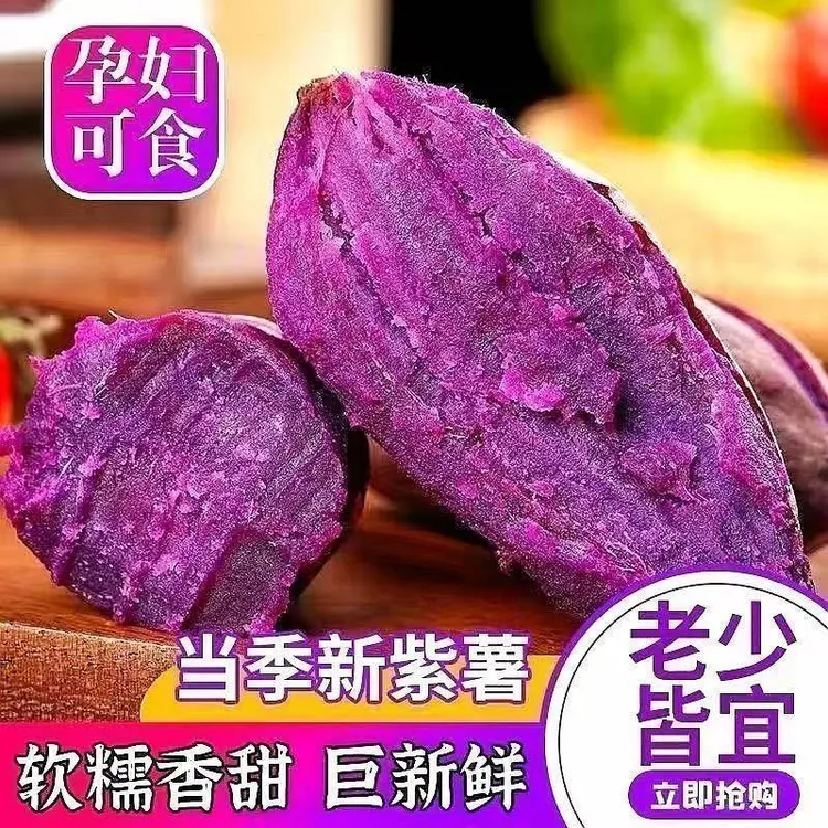 新鲜现挖沙地软糯香甜适合专用作为粗粮大中小紫薯沙地紫薯