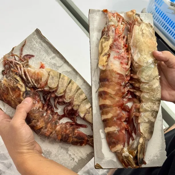 野生大虾母软皮残虾碎虾年底特惠推荐扒虾仁