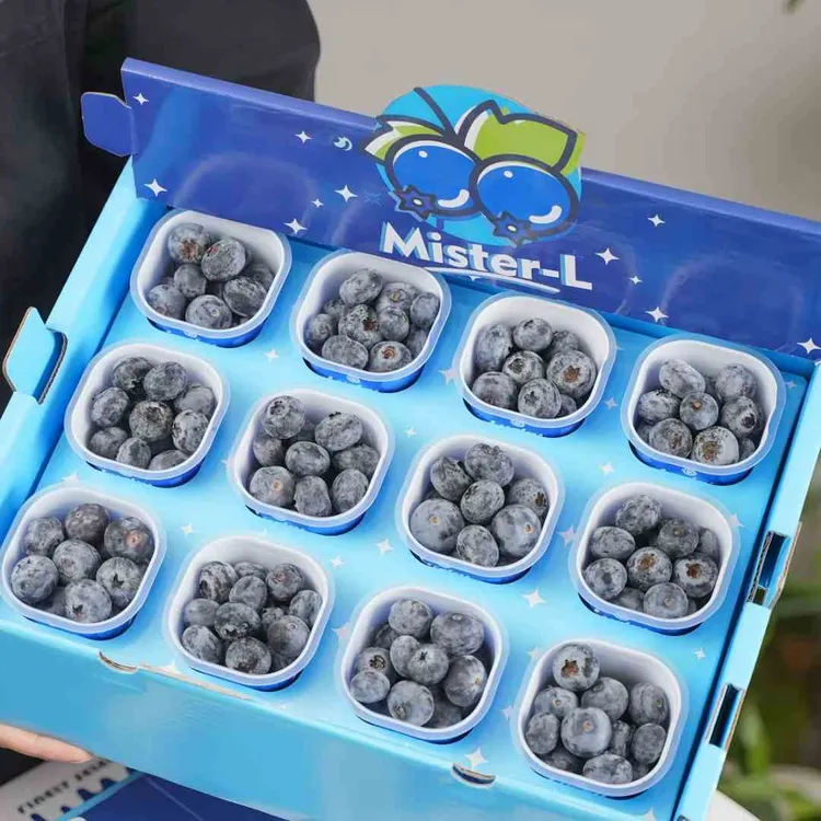 当季限定 秘鲁脆甜宝宝杯新鲜蓝莓18mm+ 花香浓郁<顺丰包邮