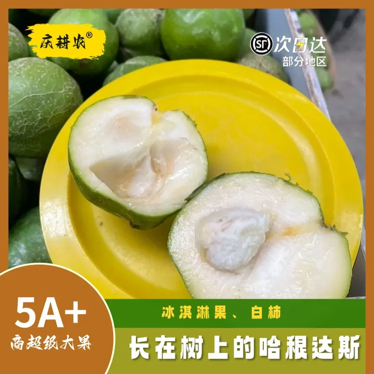 庆耕农【顺丰包邮】稀有品种白柿树上的哈根达斯冰淇淋果状元红水果