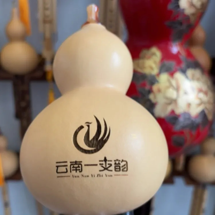 管睿名师监制专业级九孔葫芦丝小学生音准音色好有指法视频教授