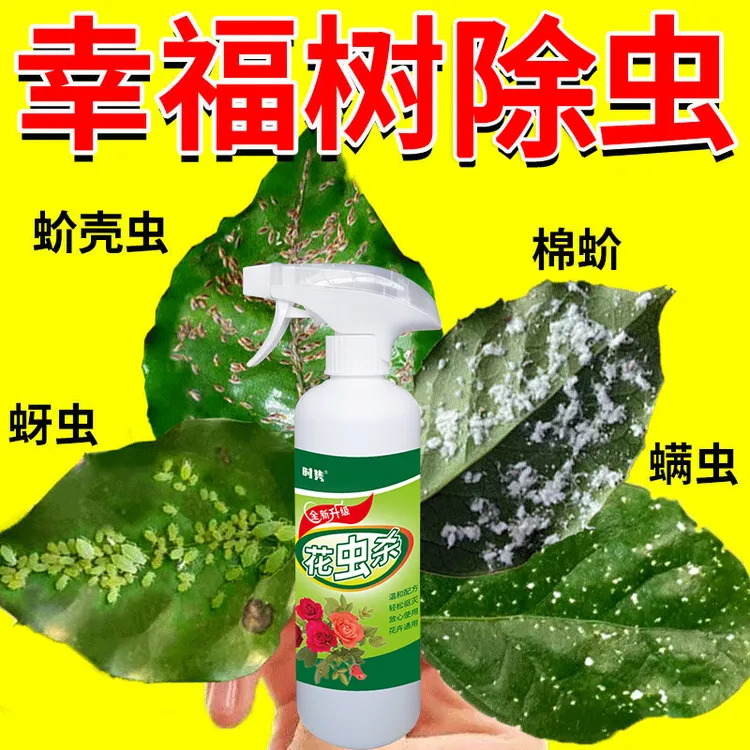 幸福树专用营养液除虫剂绣球蚧壳虫白粉虱花卉盆栽通用防虫液肥料