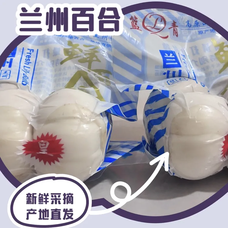 兰州新鲜两头皇甜百合兰州百合新鲜百合现挖兰州西果园直发鲜百合