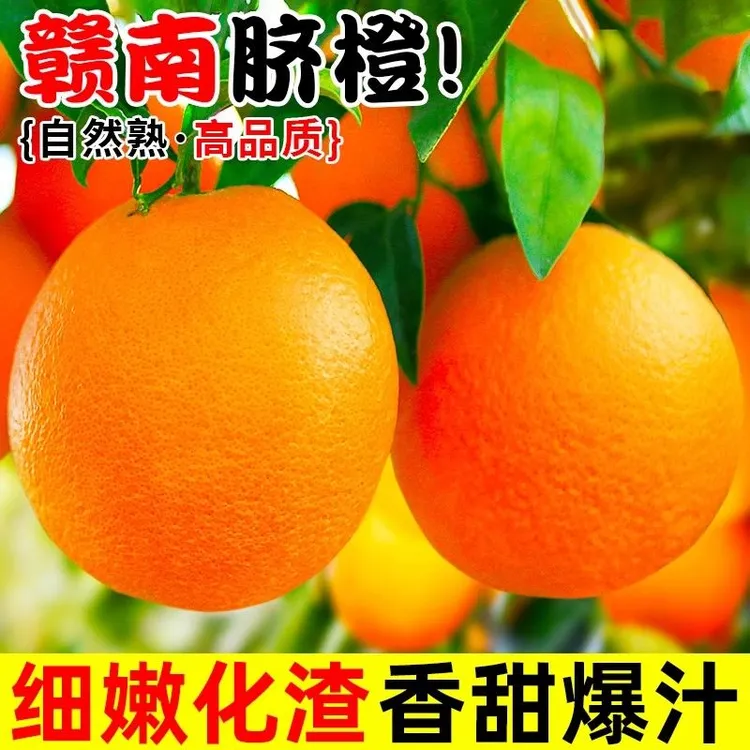 全爸农产品江西赣南脐橙新鲜现摘产地直发应季水果