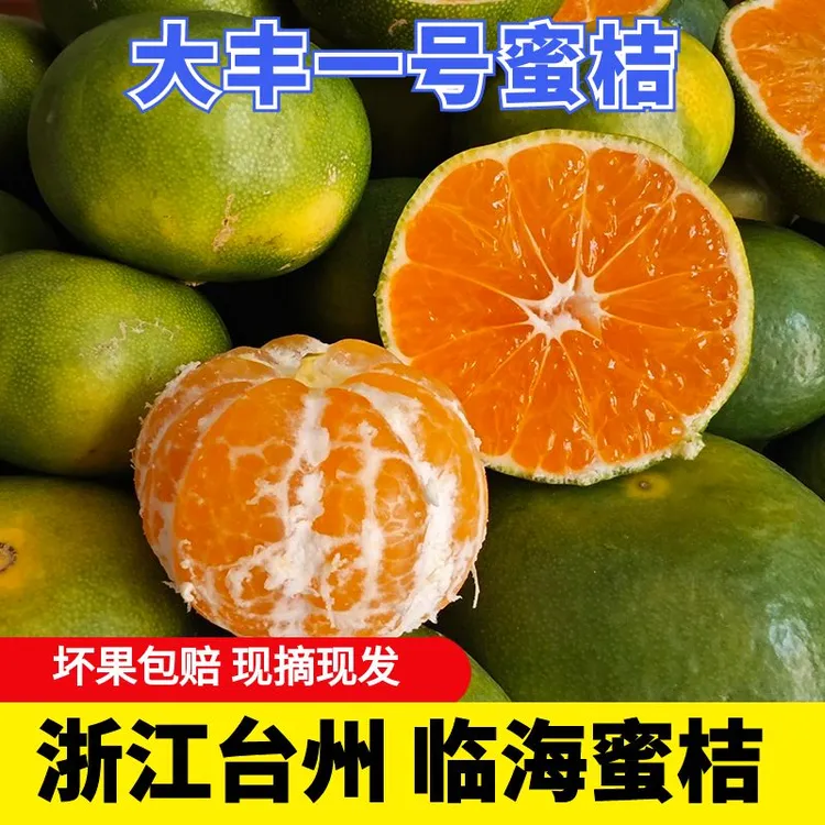 浙江台州大丰一号青皮蜜桔无籽桔子新鲜水果橘子10斤临海涌泉蜜橘