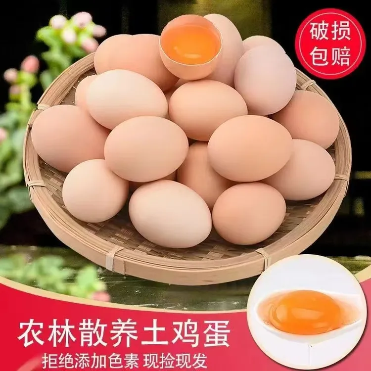 可生食50克大个精品土鸡蛋营养丰富