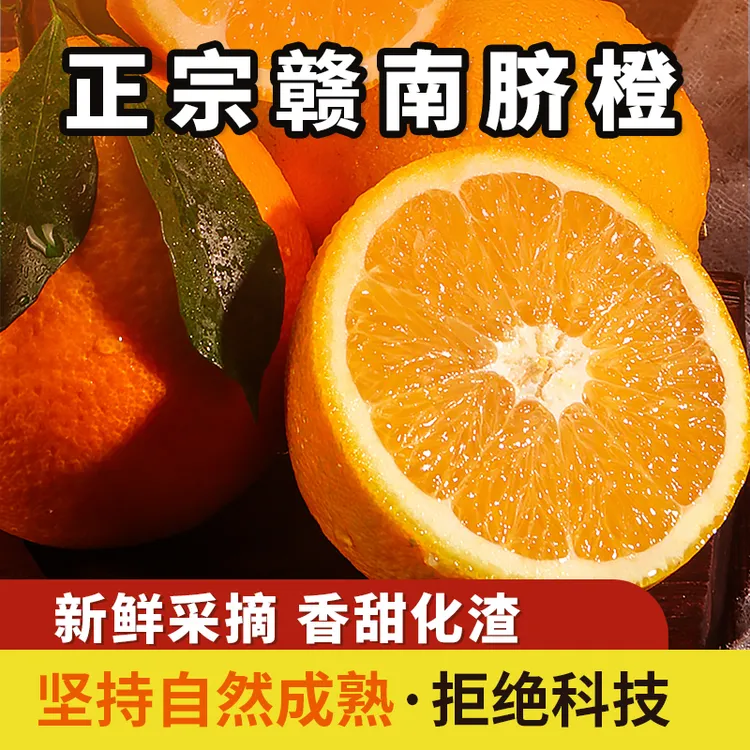 江西赣南脐橙现摘新鲜皮薄多汁产地橙子江西橙子正宗赣南脐橙香甜
