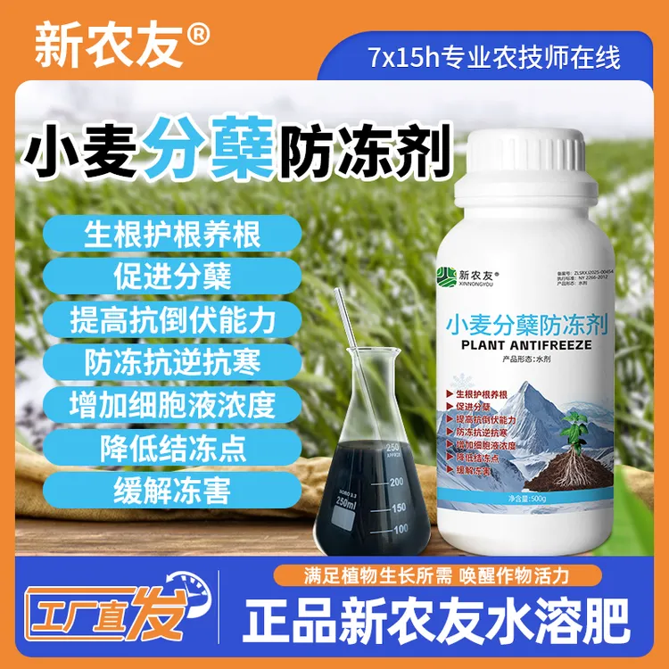 新农友小麦分蘖防冻剂成膜快防冻抗寒抗冻害黄叶干尖促生长促分孽