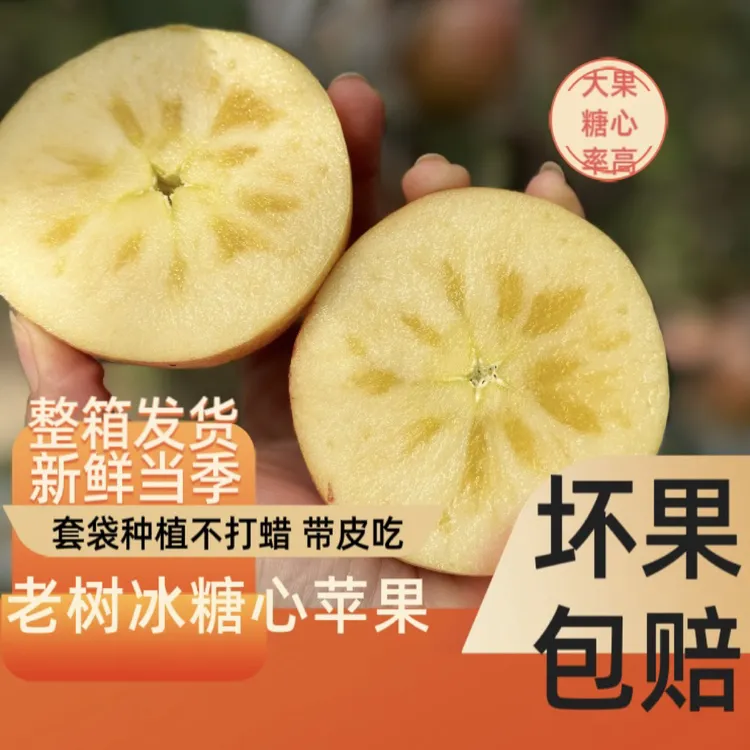 【坏果包赔】红富士老树爆汁羊奶苹果酥脆香甜多汁当季鲜果