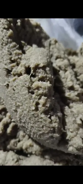 灌南虾籽新鲜虾籽潮河虾子