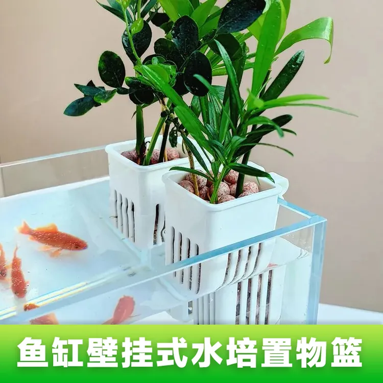 宠大条鱼缸水培植物篮家用水草种植杯壁挂式水植篮鱼缸水培支架