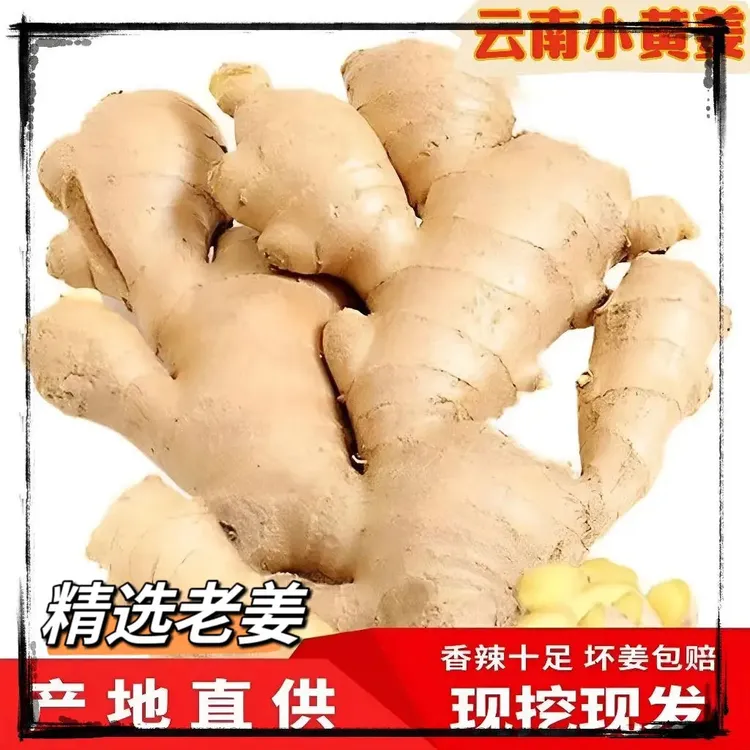 【万人抢5斤】云南小黄姜直发9斤/100g新鲜生姜老姜高山精品嫩姜