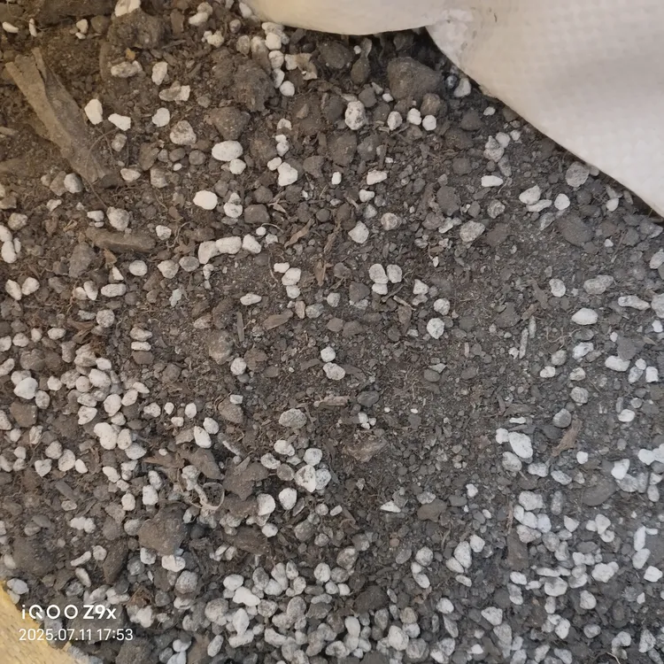 三角梅种植基地专用花土