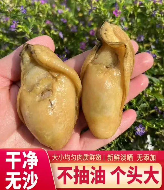 广东 台山金蚝肥厚饱满七成半干左右250克~500克 不抽蚝油金蚝干