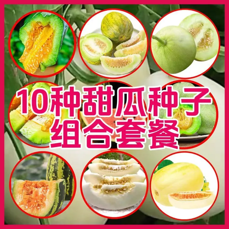 绿宝石种子羊角蜜薄皮脆瓜甜瓜子瓜类种子大全甜瓜种子组合套餐