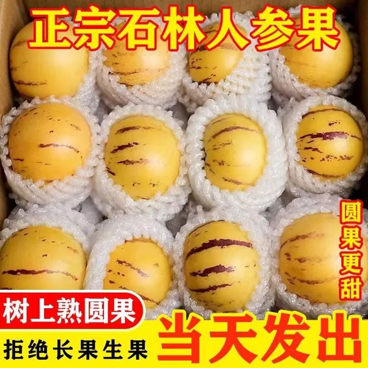 【爱心助农】正宗云南石林树熟人参果黄肉圆果大果黄心超甜水果产地直发