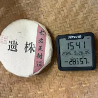 2013年麻黑落水洞遗株七丈王树普洱生茶饼200克M305号9月26日
