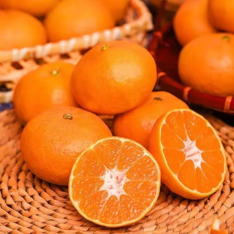 【顺丰包邮】正宗临海涌泉蜜桔无打蜡当季水果现摘现发无核皮薄多汁