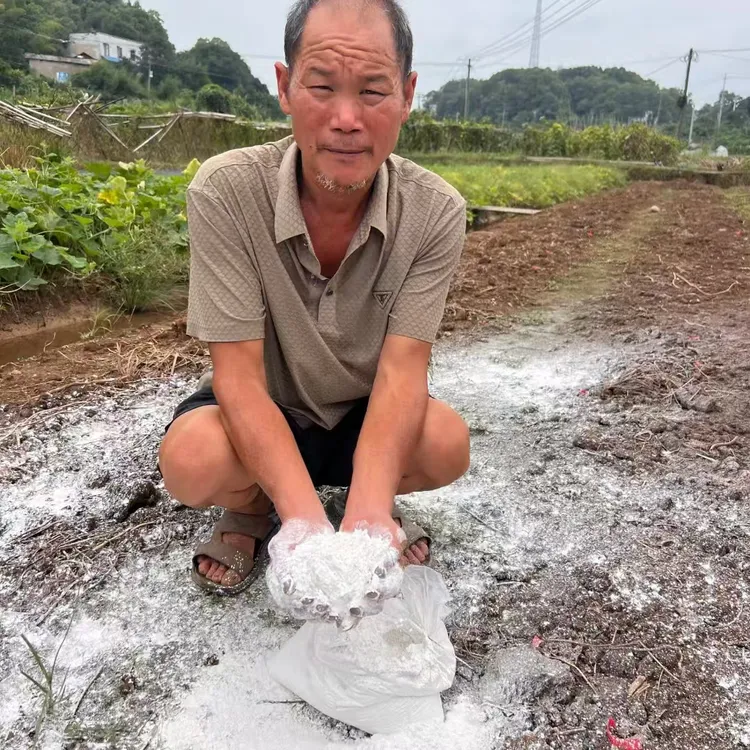 生石灰粉50斤袋厂家批发刷树刷墙除湿防潮防霉驱虫净化水质养殖场
