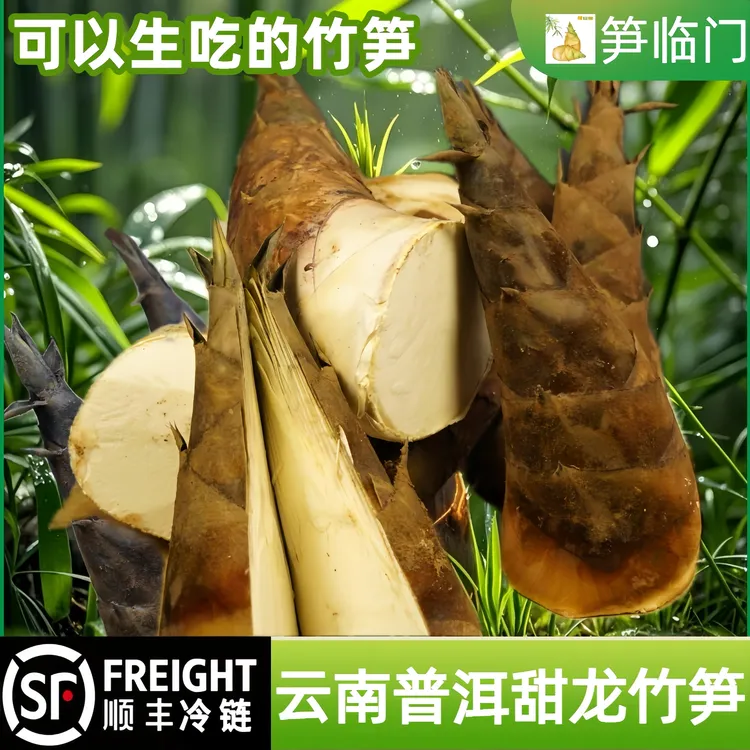 【顺丰冷链】云南普洱传统水果甜龙竹笋补充营养（工厂直发）