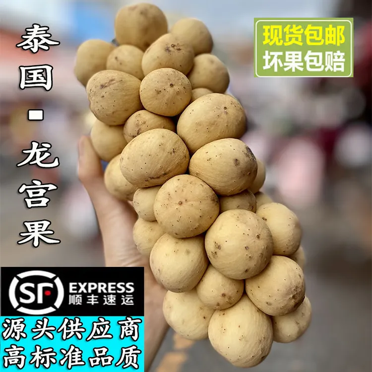 【泰国进口】空运新鲜龙宫果椰色果当季稀有热带水果酸甜嫩多汁包邮