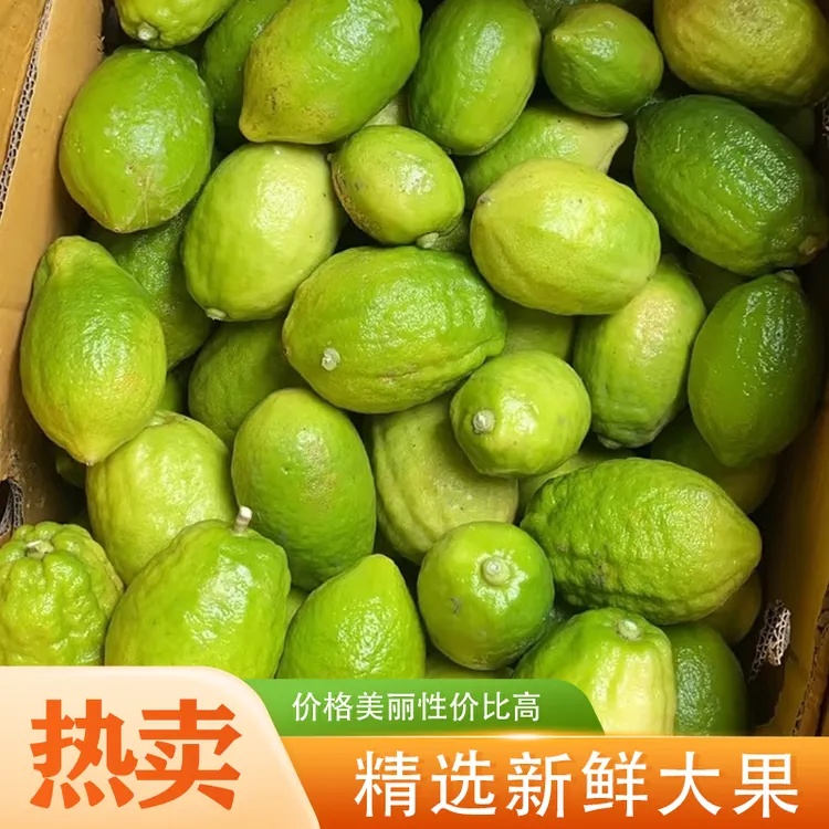 广东新鲜无籽二级香水柠檬黄果适合制作奶茶咖啡店特卖柠檬