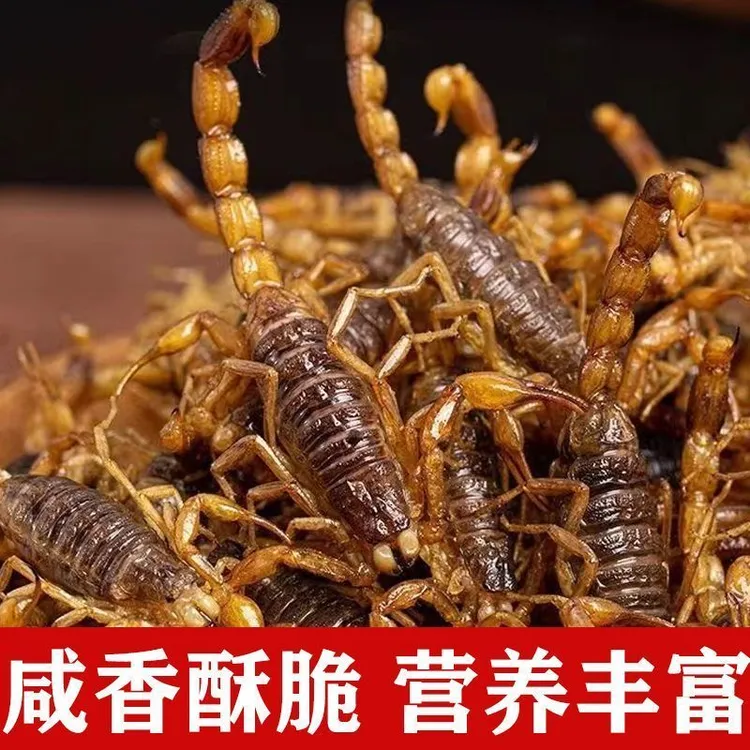 {活蝎}油炸即食蝎子香辣油炸制全蝎蝎子油炸即食蝎子特产野生动物