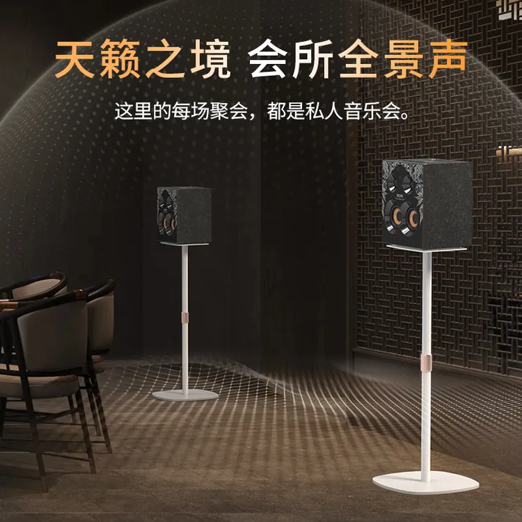 DOSS/德士乐宴一代HiFi音响家庭影院全景3D环绕立体声蓝牙音响