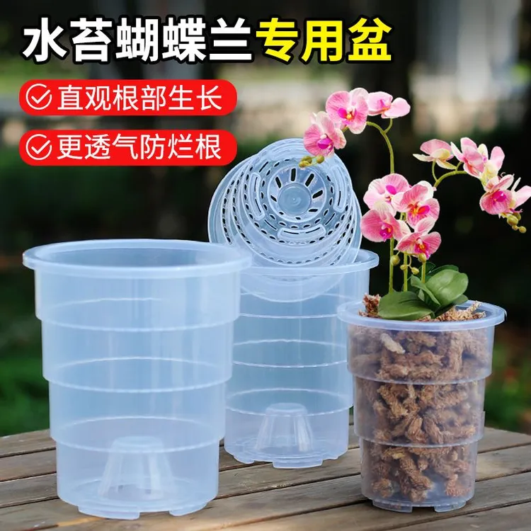 新疆包邮透明可视透气塑料兰花水苔蝴蝶兰专用控根花盆家用阳台