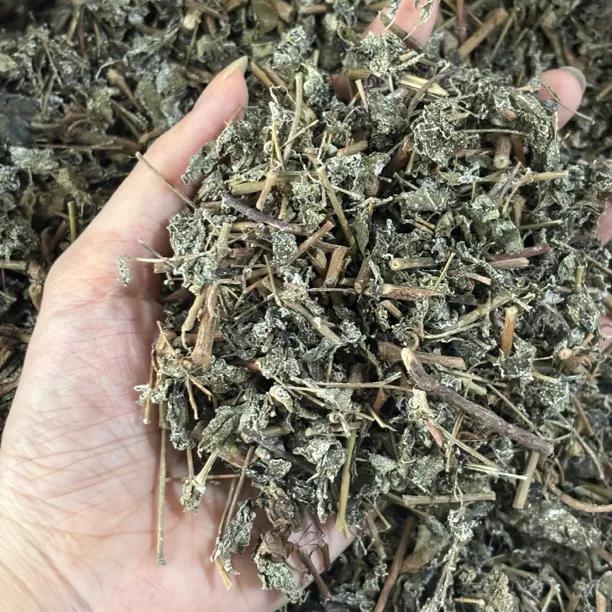 广西野生溪黄草茶新货溪黄草 可泡水煮水喝