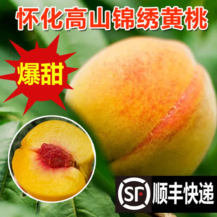 湖南怀化高山锦绣黄桃麻阳农家新鲜天然水果辰溪红心黄桃发顺丰