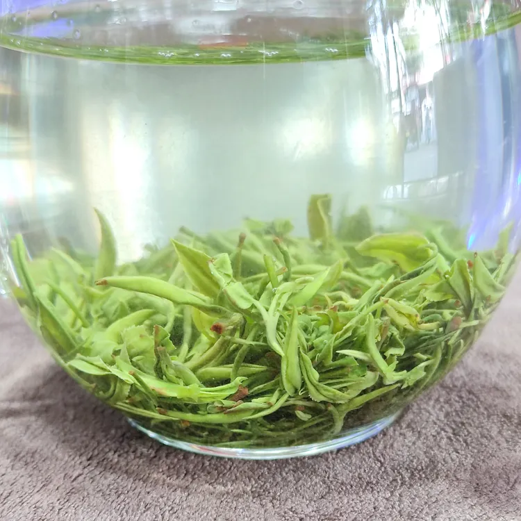 9号2025新茶紫阳茶毛尖群体种翠峰精选鲜嫩好绿茶高香高级新茶叶