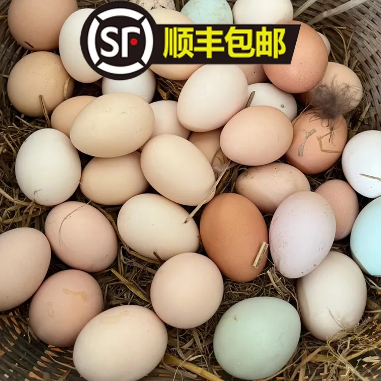 【顺丰包邮】当天鲜捡湖南农家散养鲜鸡蛋土鸡蛋s11