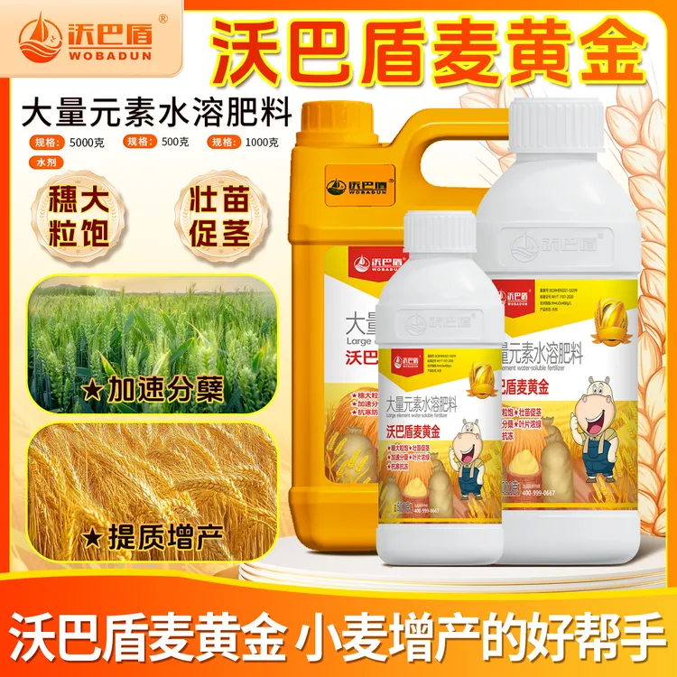 沃巴盾麦黄金小麦抗寒防冻壮苗促茎抗倒伏穗大粒饱稳产有机水溶肥商品图