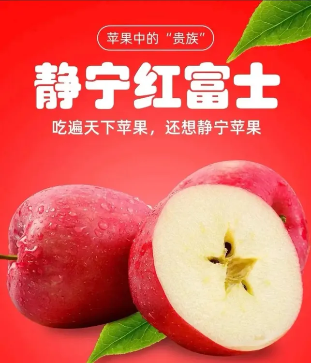 2025新果静宁红富士苹果圣诞节专用产地直发当季新鲜水果