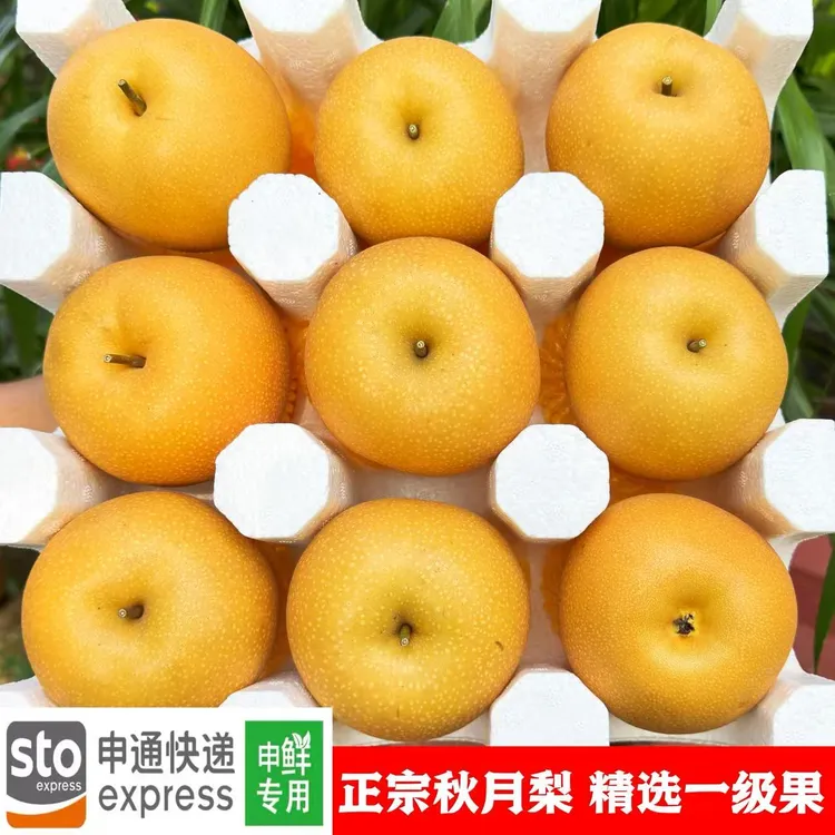 桃语清晨~【山东秋月梨】原产地现摘现发 香甜多汁 应季水果