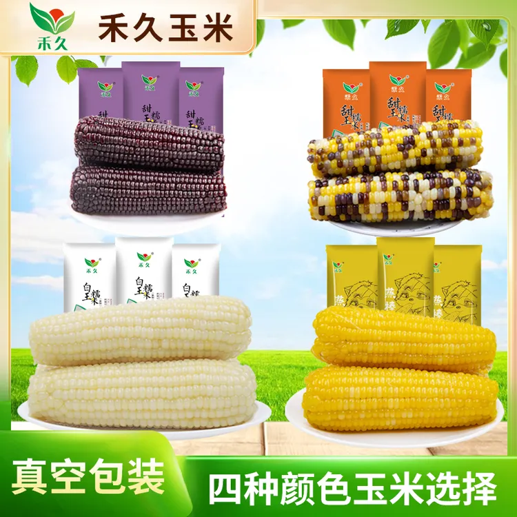 【禾久】白糯300g*8/黄糯240g*9/彩糯200g*10/黑糯180g*10根 糯玉米