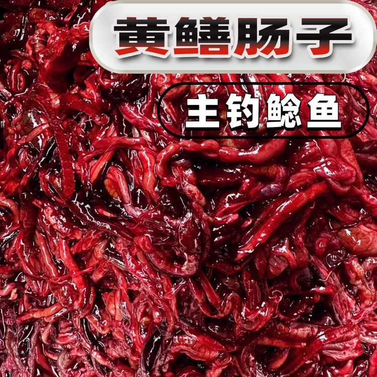 黄鳝肠子主钓鲶鱼黄蜡丁石扁头