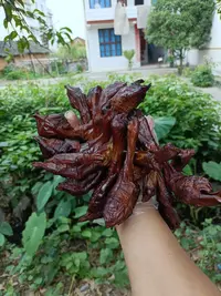 【湘水】湖南乡里柴火烟熏  腊鸭爪（包邮）