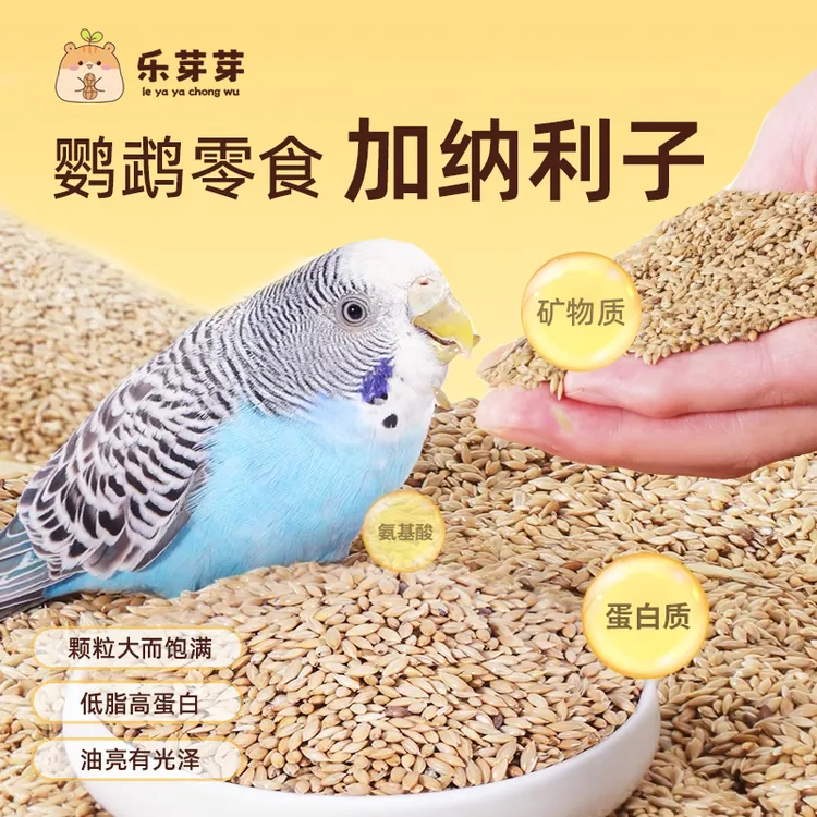 乐芽芽鹦鹉加纳利子精品金丝雀草籽玄凤虎皮牡丹低脂肪高蛋白零食