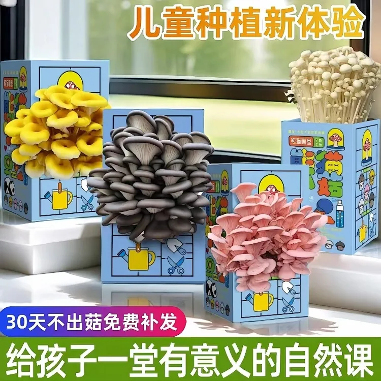 【一品工厂】蘑菇种植菌包平菇家庭室内种植蘑菇科学小实验儿童玩具