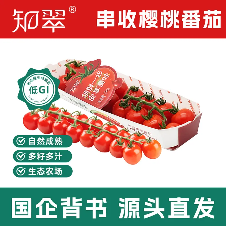 【知翠】串收樱桃番茄现摘新鲜小西红柿车厘串顺丰发货高品质