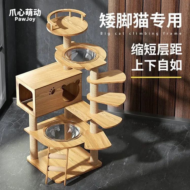 猫爬架猫窝剑麻猫树一体四季通用不占地多层跳台太空舱矮脚猫专用