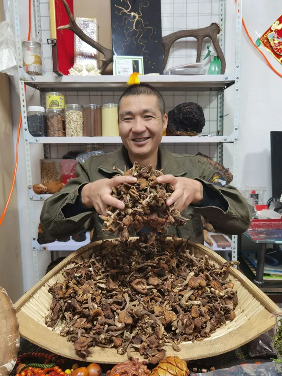 深山野生榛蘑（半斤）包邮