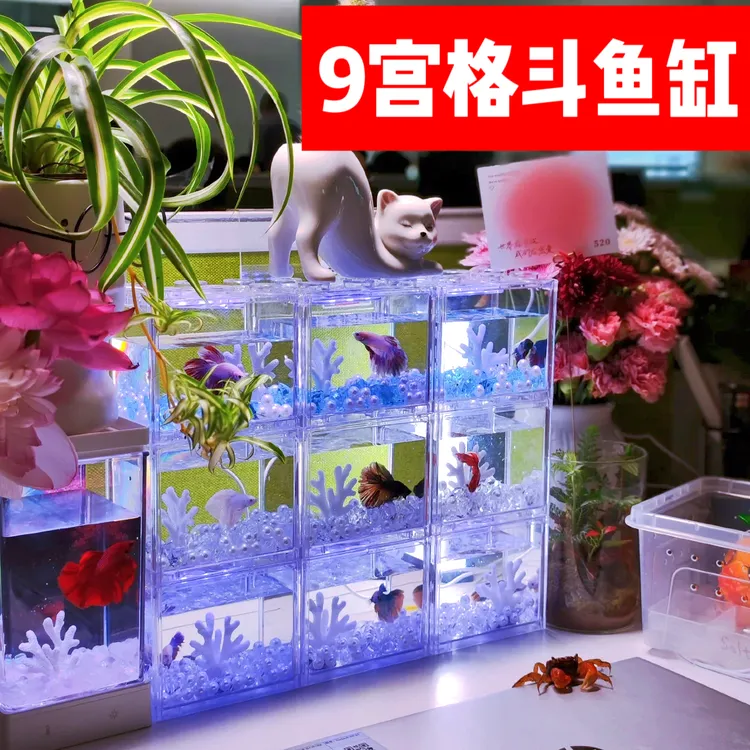 多格斗鱼专用积木鱼缸多格组合桌面生态观赏鱼缸造景三格六格九格