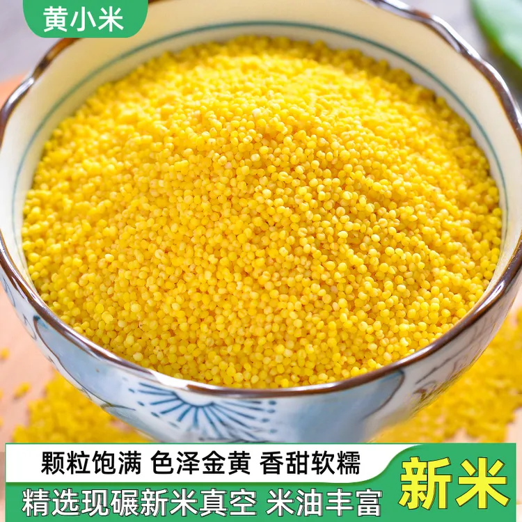 当季新米油糯新鲜黄小米五谷杂粮地道农家直销粗粮农家黄金小米粥