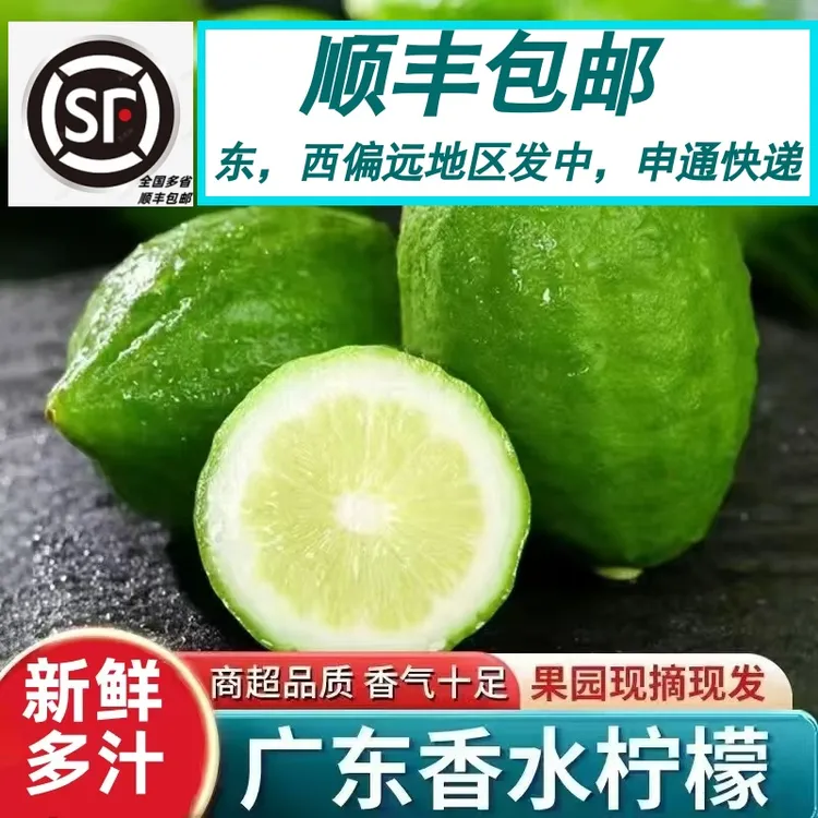广东香水柠檬果园直发香味浓郁多汁奶茶店饮品用